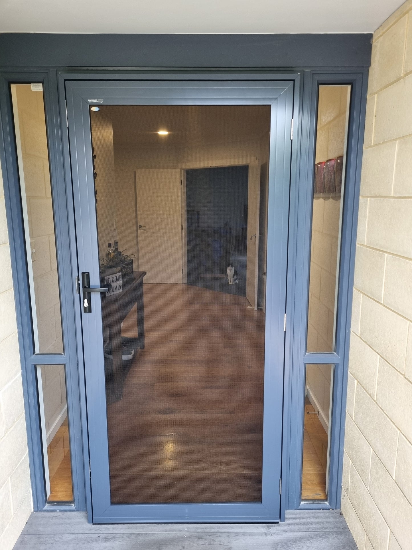 Looking in front door with Crimsafe security door